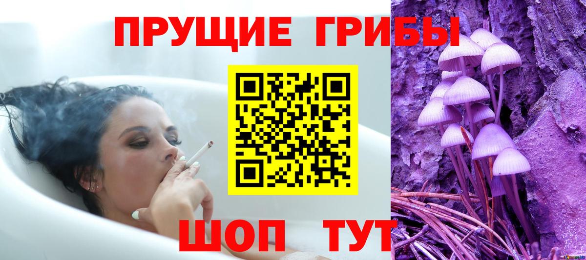 Псилоцибиновые грибы мухоморы  Псилоцибиновые грибы Cubensis  Нововоронеж  Вход с VPN 
