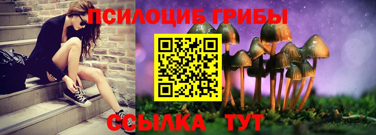 Псилоцибиновые грибы ЛСД Нововоронеж